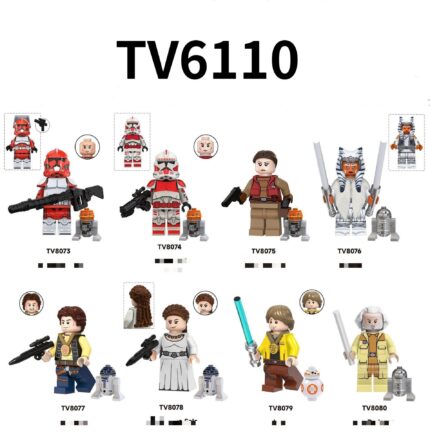 TV6110