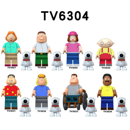 TV6304