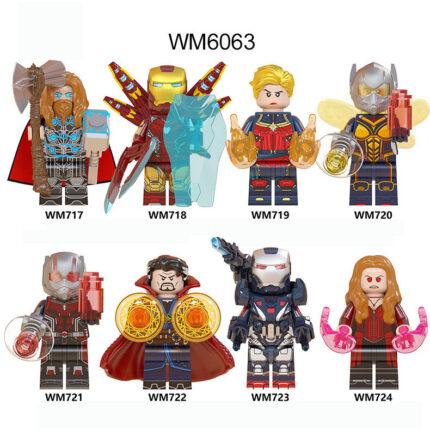 WM6063